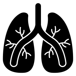 General yaswa